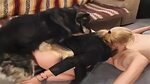 Dog Fuck Woman Sex Videos Porn - Mature amateur couple enjoy